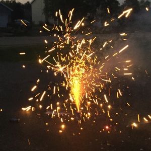 Meet your Posher, Roisin